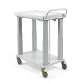 Treston Sapel - elektrisch höhenverstellbarer Tischwagen