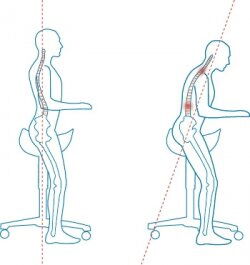 Ergonomisch Sitzen